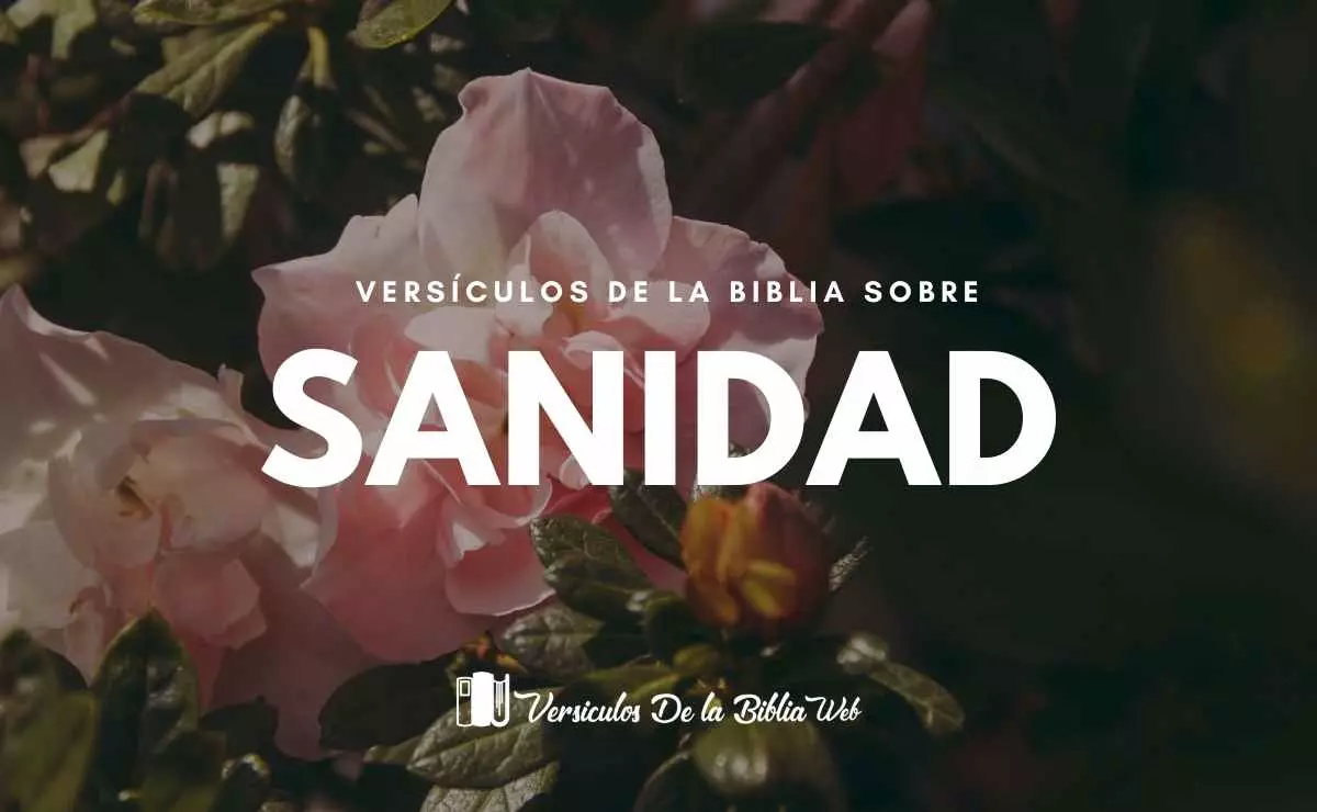 3 Juan 1:2 Amado, yo deseo que tú seas prosperado en todas las cosas, y que  tengas salud, así como prospera tu alma., Biblia Reina Valera 1960  (RVR1960)